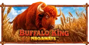 ภาพเกม Buffalo King Megaways ที่ 24hplay รวบรวมไว้